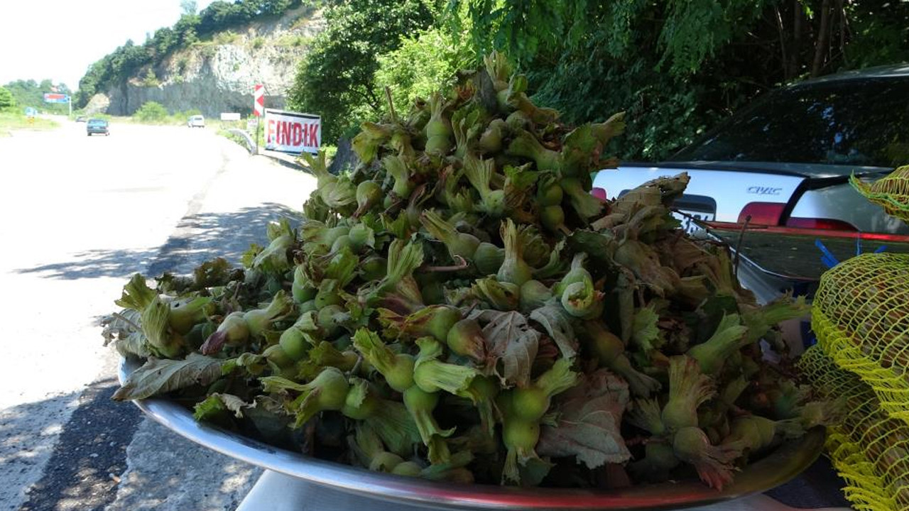 Dalindan tezgaha indi kilosu 200 tl oldu Qa2puAsL